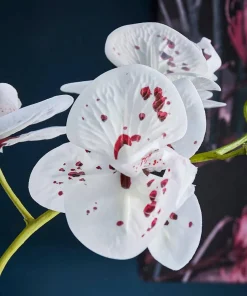 Blooming Marvellous White Speckled Orchid