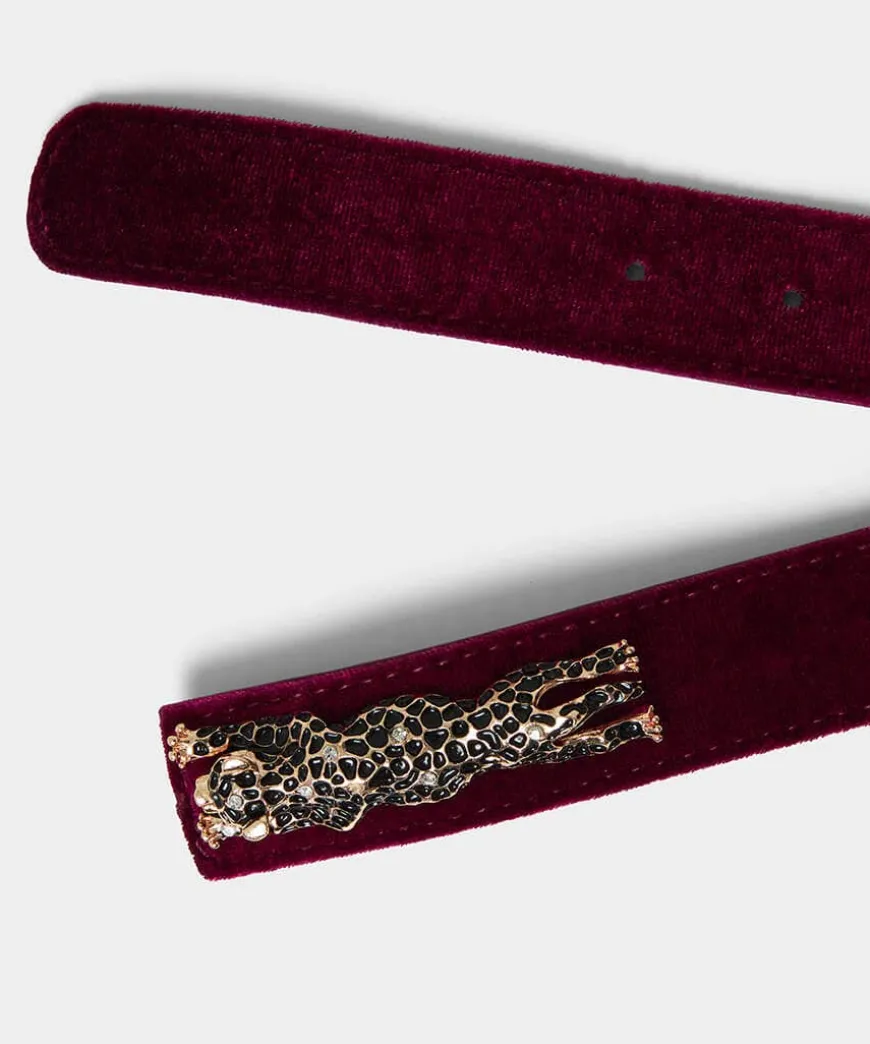 Leopard Trim Deco Velvet Belt