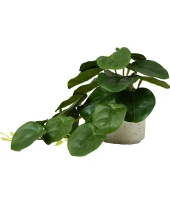 Luscious Greenery In Speckled Ceramic Pots