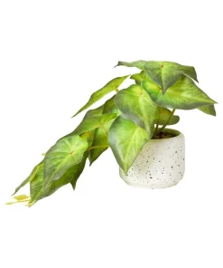 Luscious Greenery In Speckled Ceramic Pots