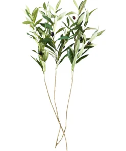 Oh So Lovely Olive Branches (Pack Of 3)