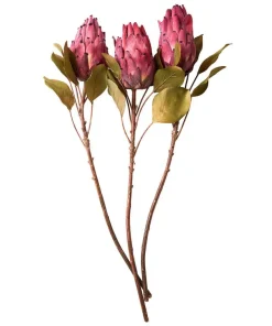 Pack Of 3 Pretty Protea Flower Stems