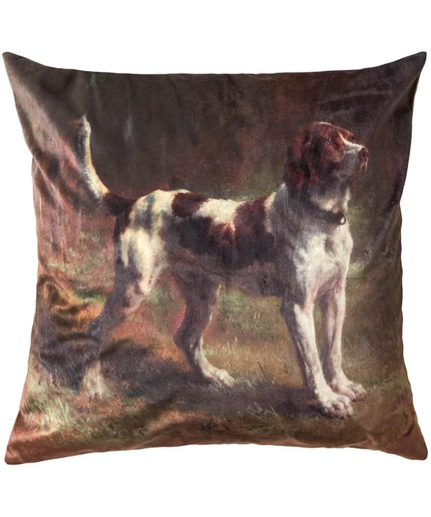 Striking Spaniel Velvet Cushion