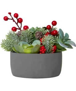 Tis The Season Succulent